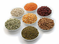 Grains